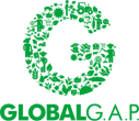 global-green-ptoc339ycmjod5n0h6r8ovcuvhyo34cl5dr2bl181s